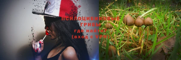 mix Корсаков