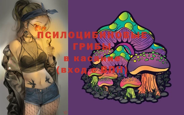 mix Корсаков