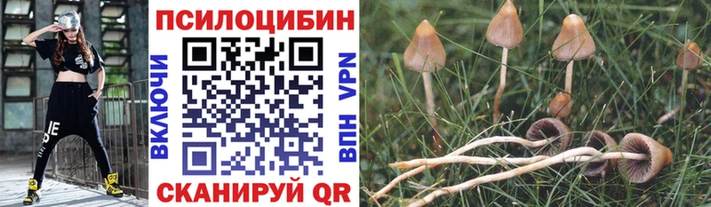 купить   Мантурово  гидра ссылки  Галлюциногенные грибы Psilocybine cubensis 